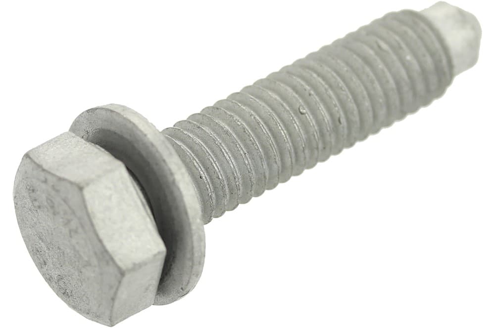 Screw-1