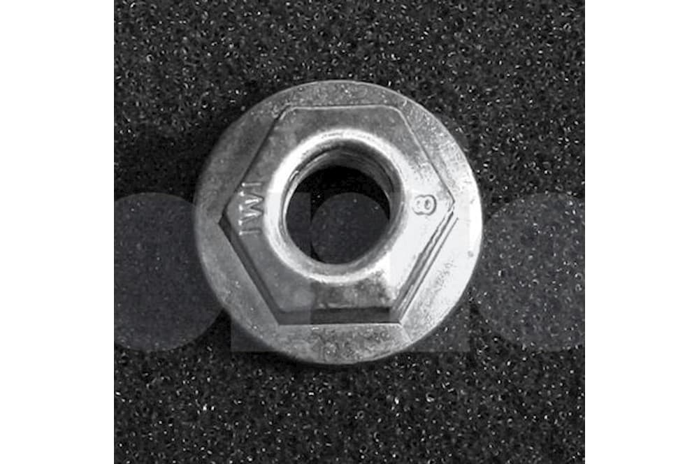 Nut-1