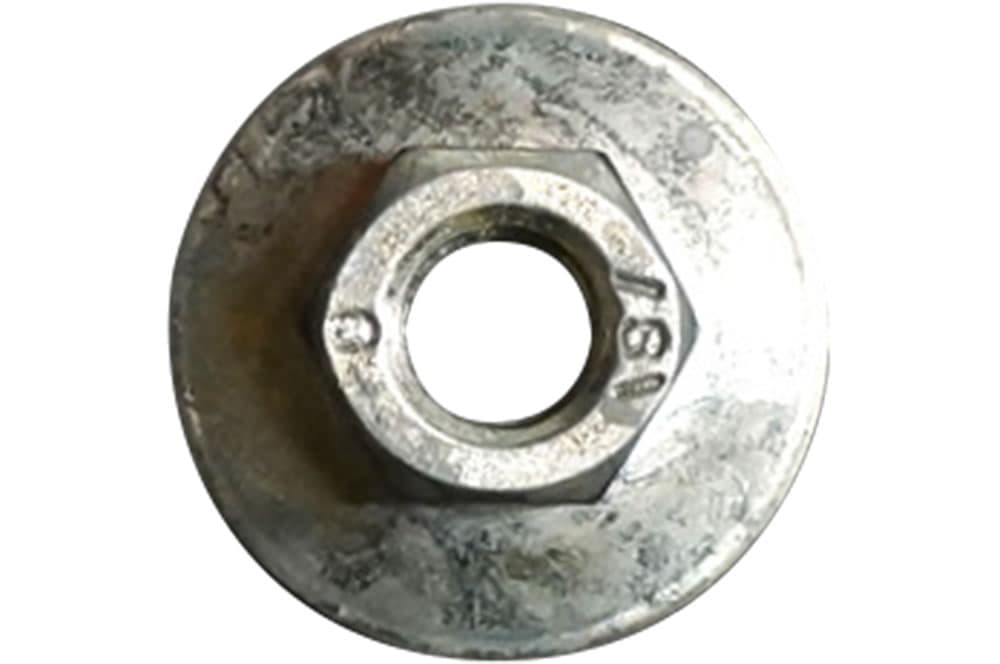 Nut-1