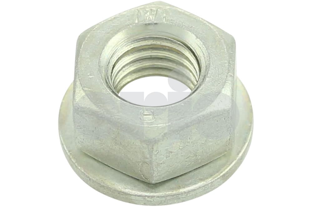 Nut-1