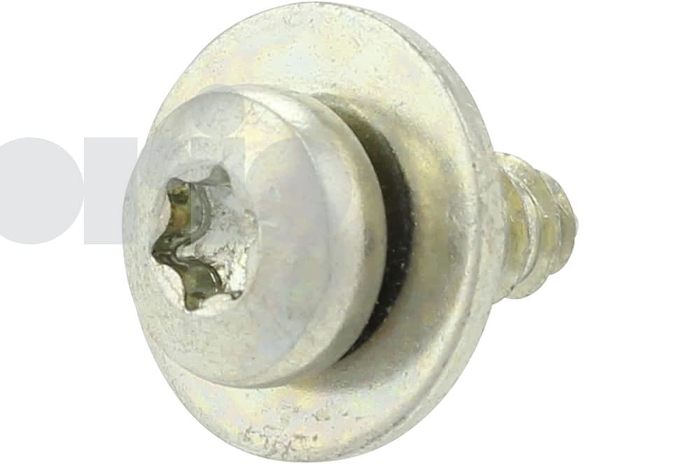Screw-1