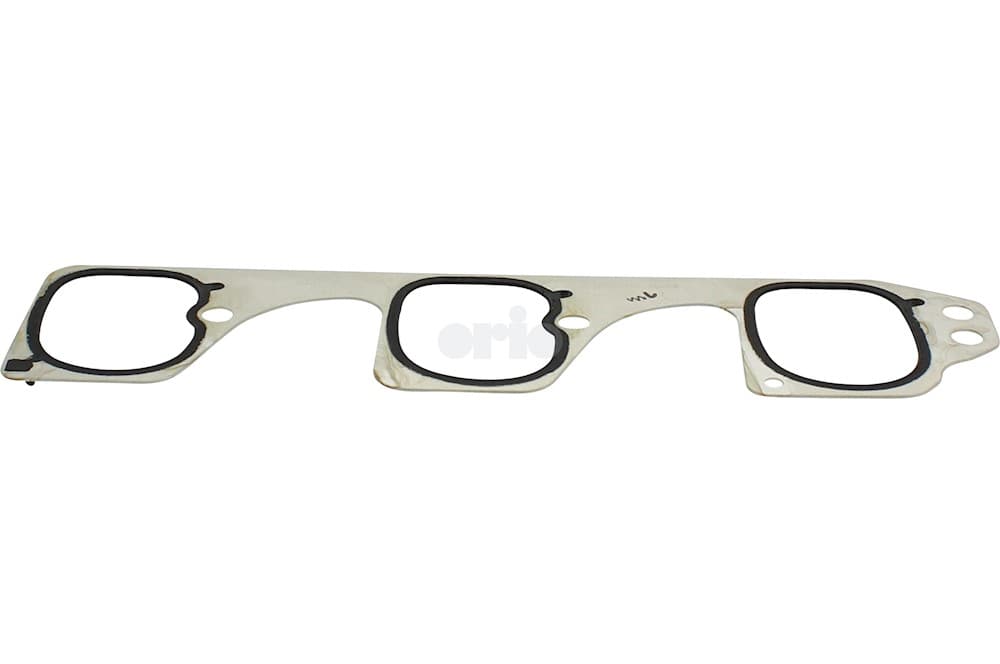 Gasket-1