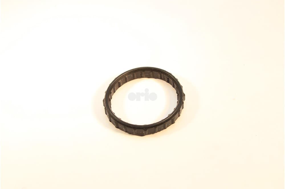 Seal-1