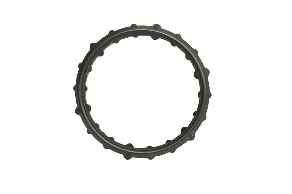 Seal-1