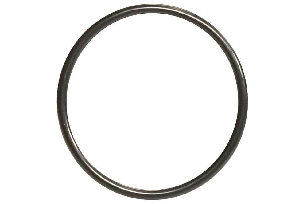 Seal-1