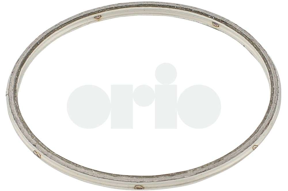 Gasket-1