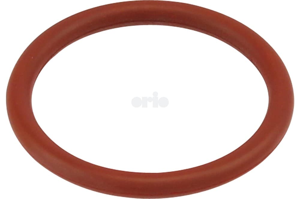 O-ring-1