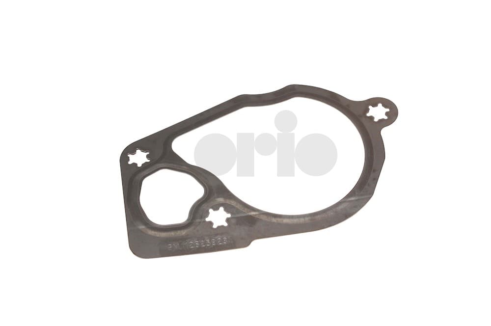 Gasket-1