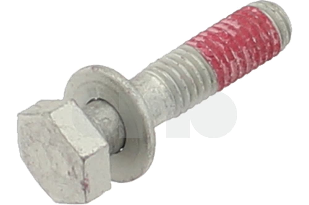 Screw-1