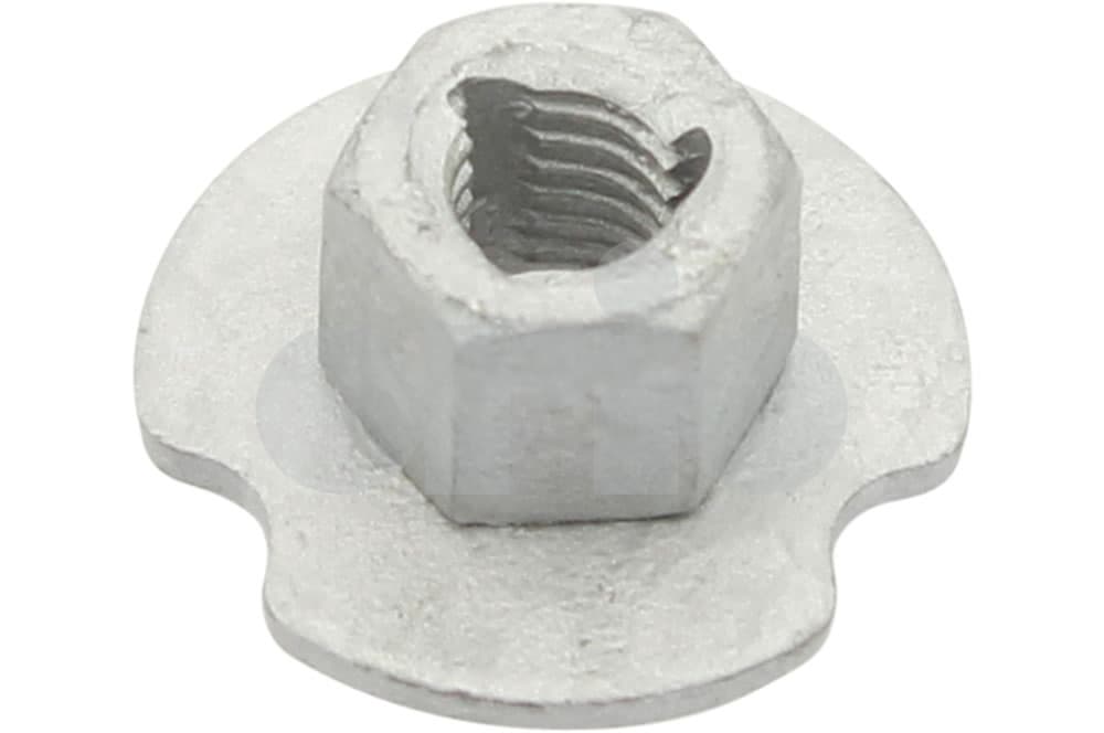 Nut-1