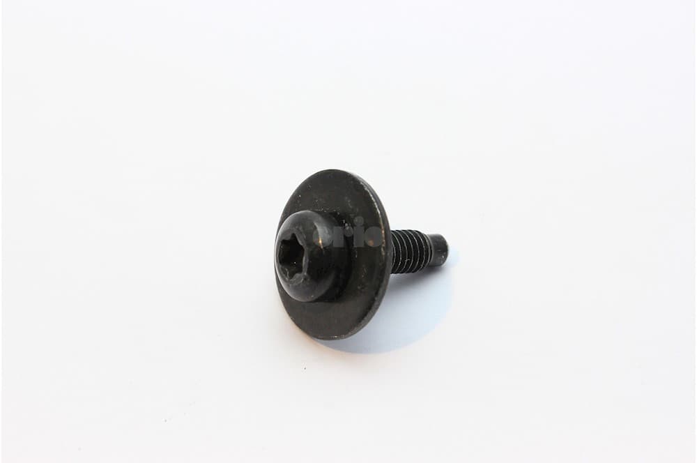 Screw-1