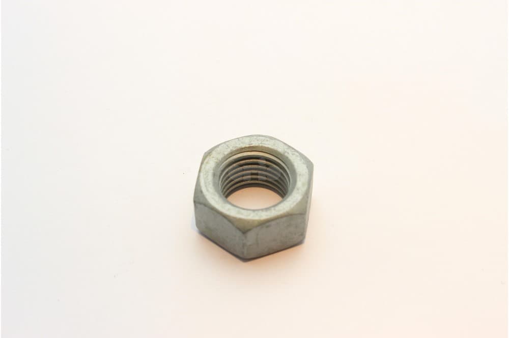 Nut-1