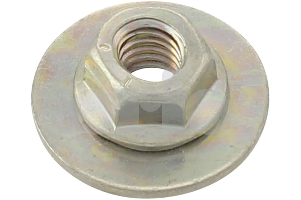 Nut-1