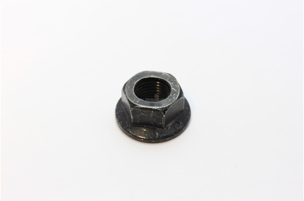 Nut-1
