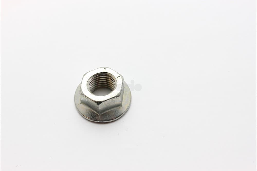 Nut-1