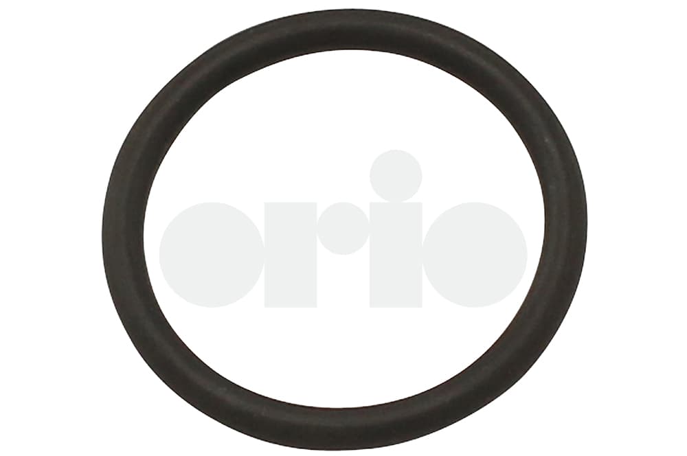 O-ring-1
