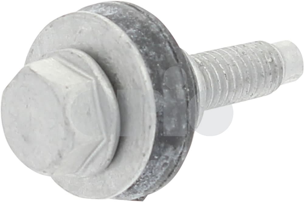 Screw-1