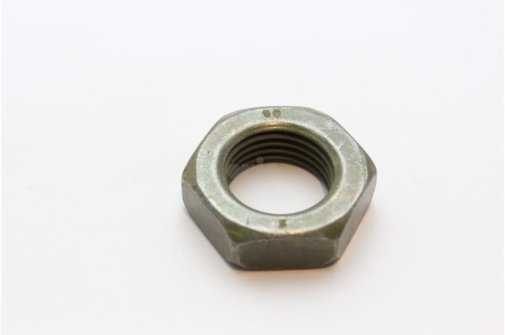 Nut-1