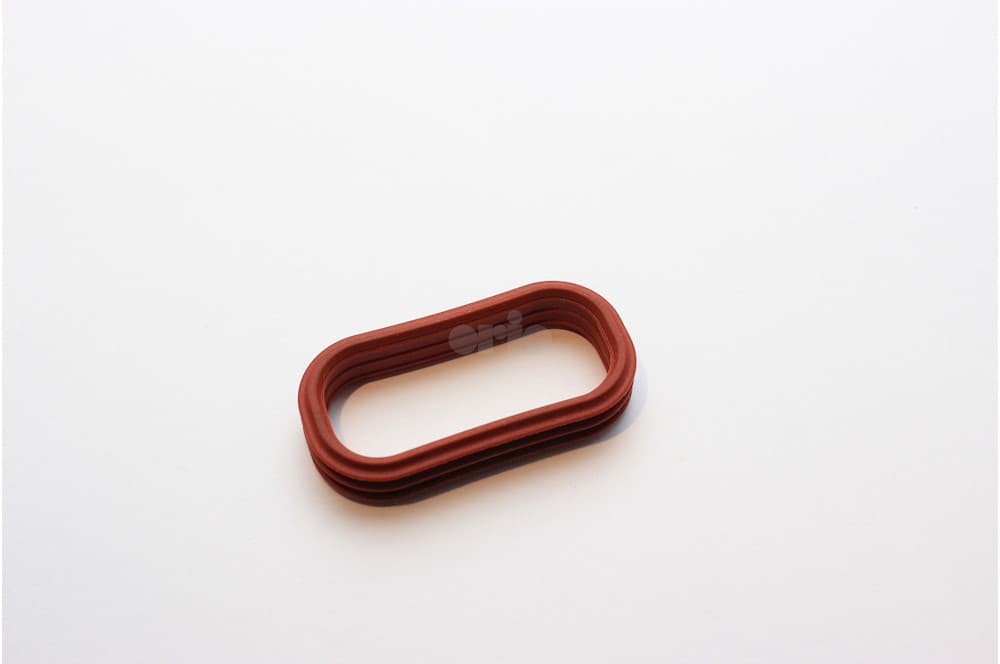 Seal-1