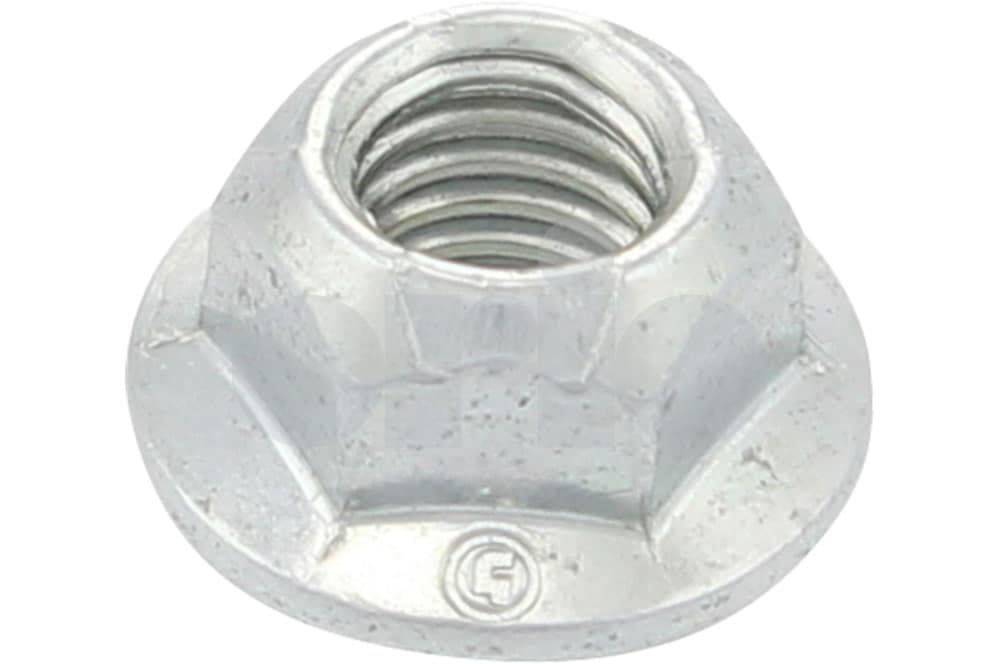 Nut-1