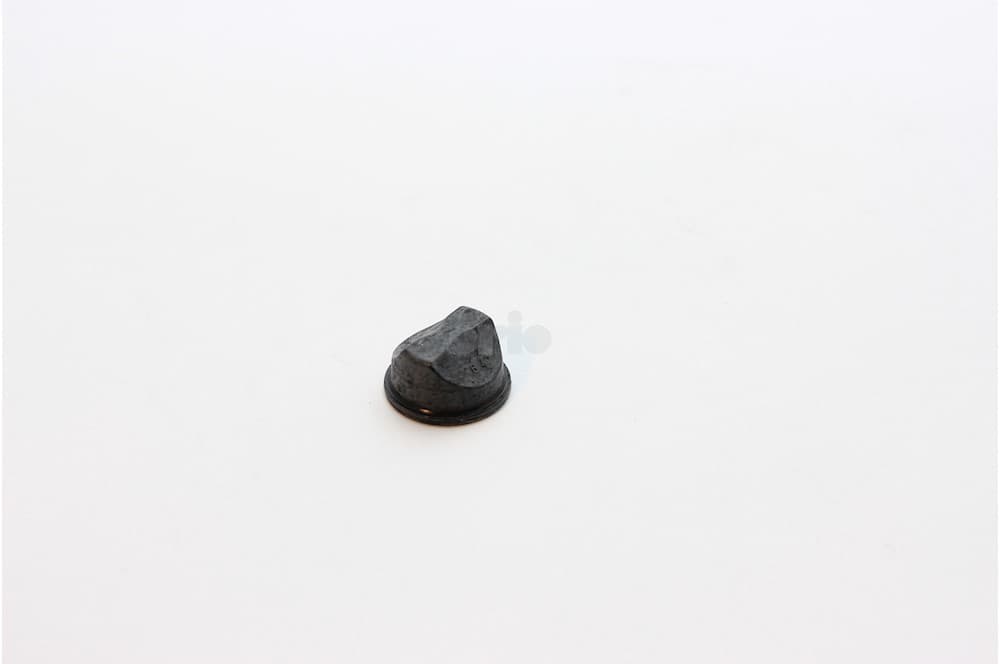 Seal-1