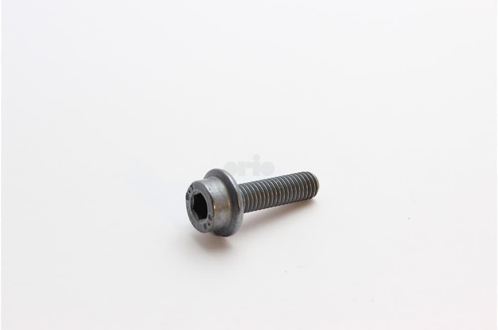 Screw-1