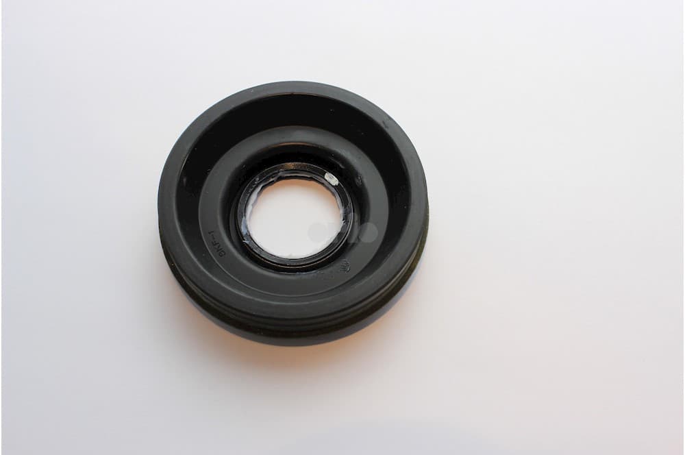 Seal ring-1