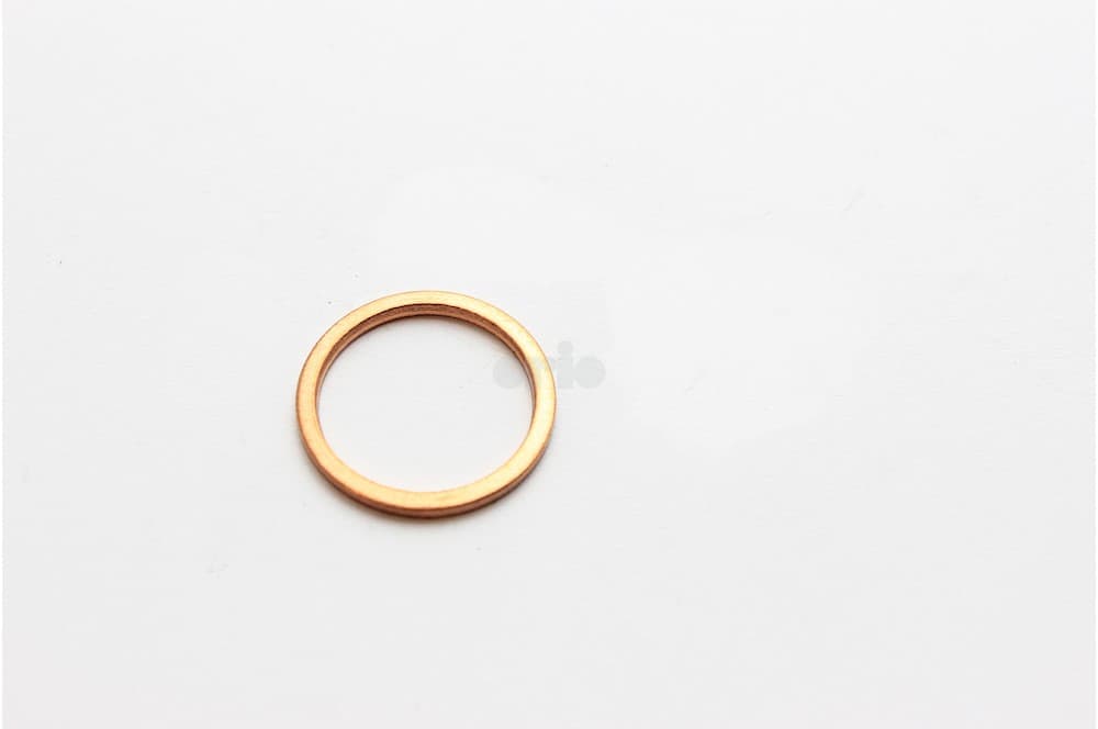 Seal-1