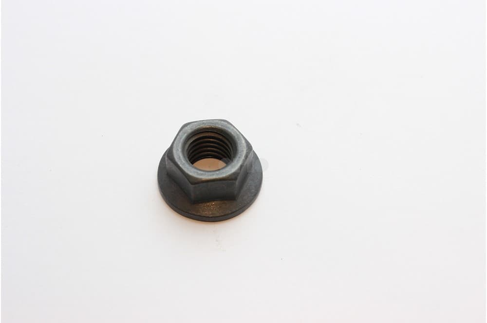 Nut-1
