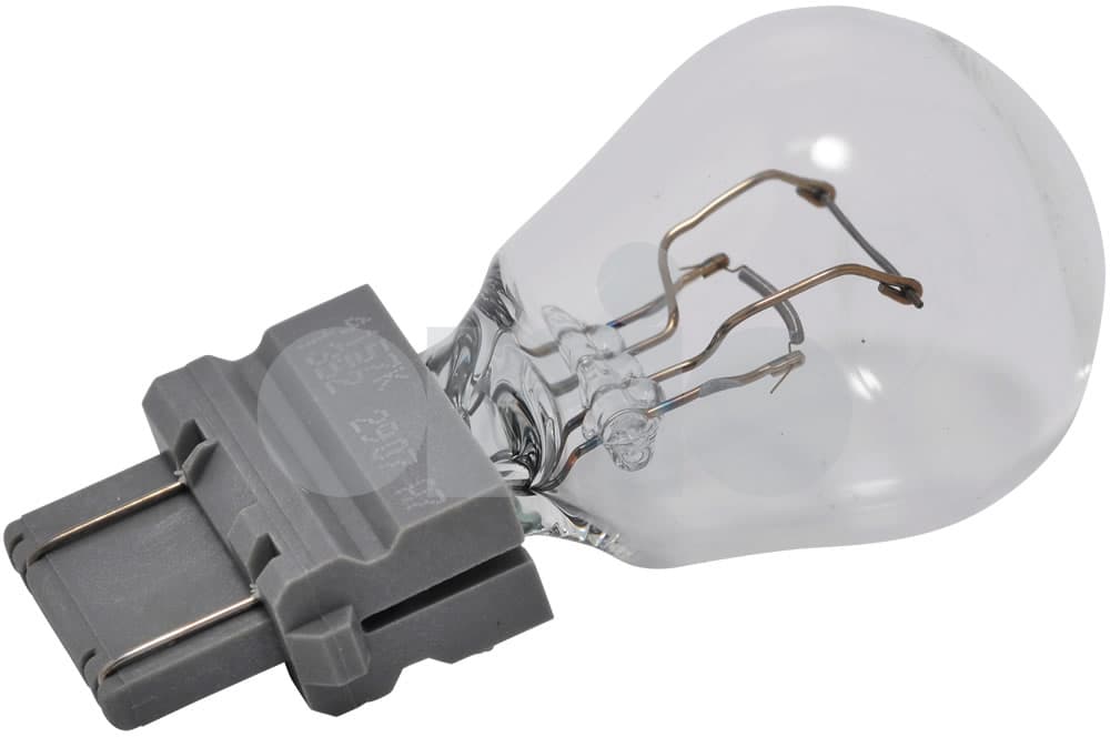 Bulb-1