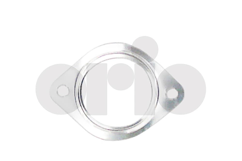 Gasket, exhaust pipe-1