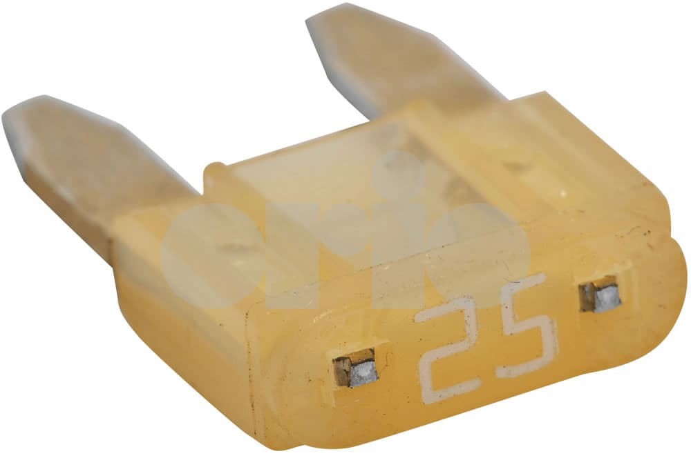 Fuse-1