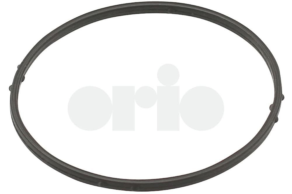 O-ring-1