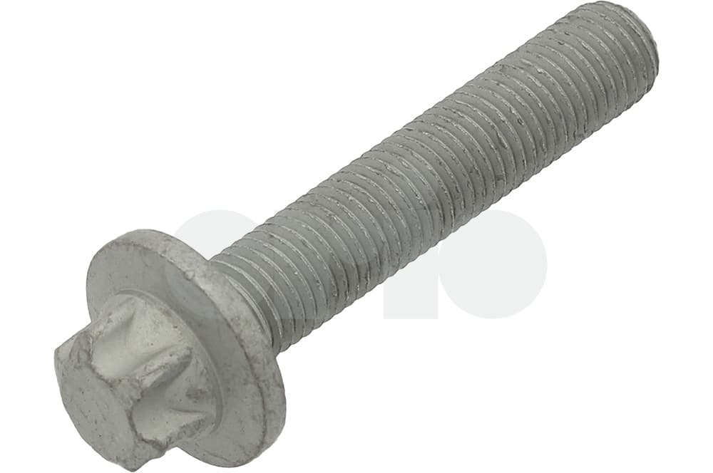 Screw-1