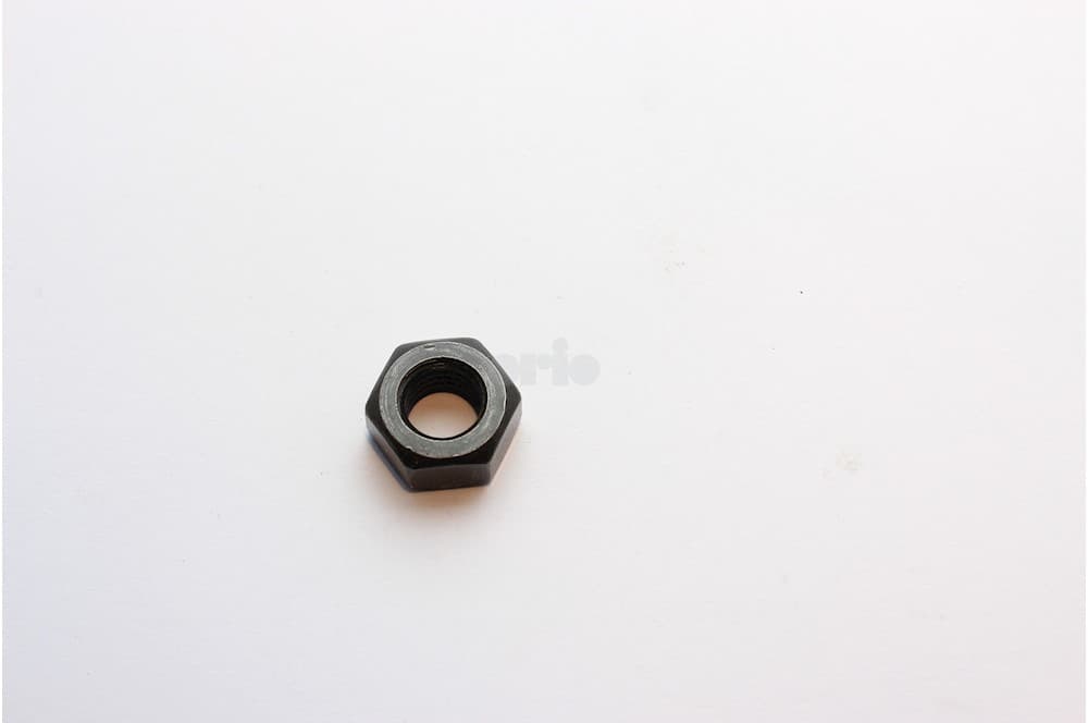 Nut-1