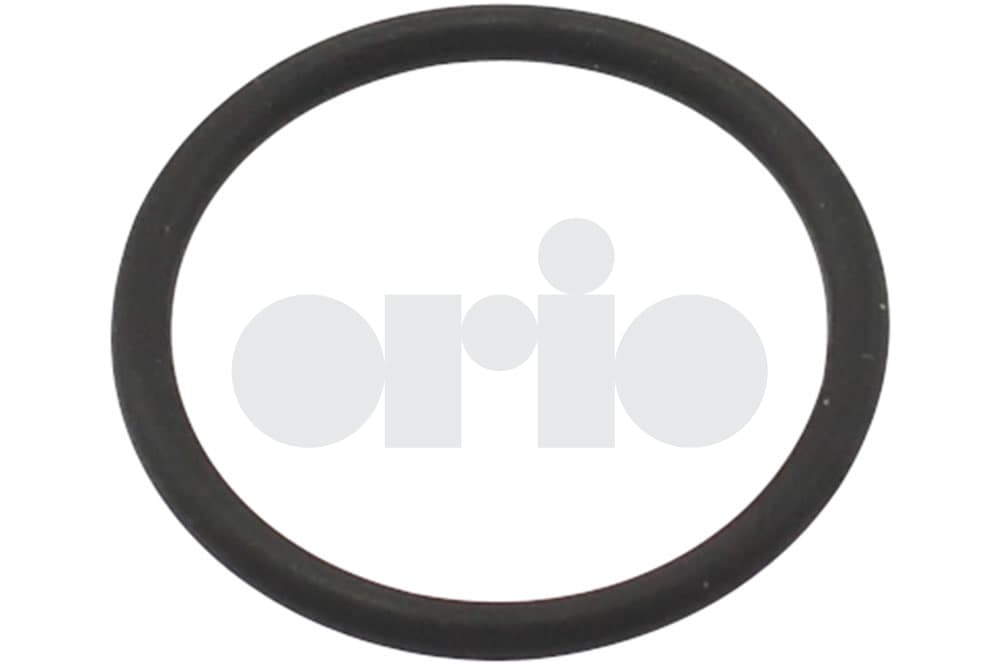 O-ring-1