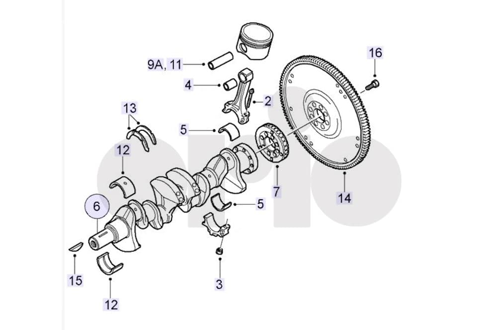 Screw-1