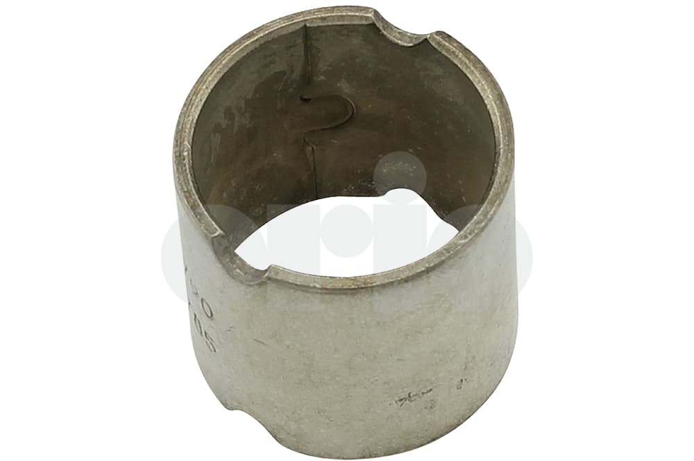 Bush-1