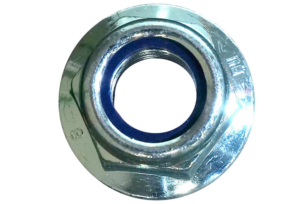 Nut-1
