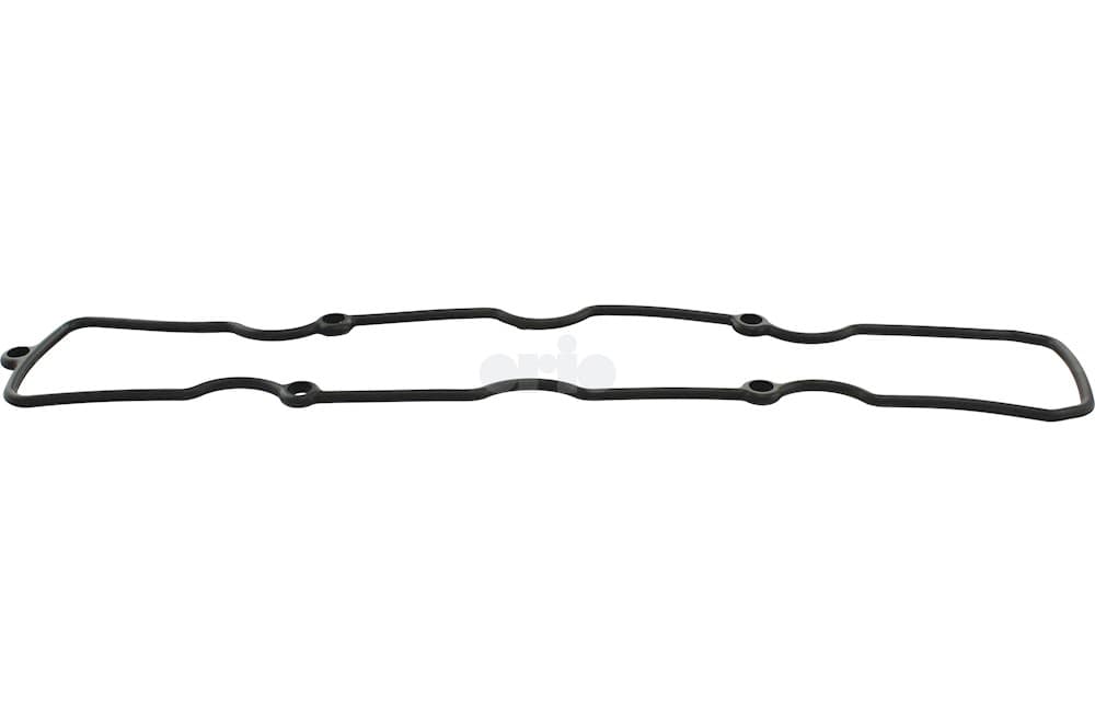 Gasket-1
