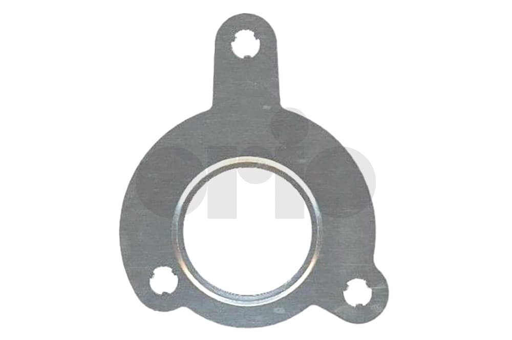Gasket-1