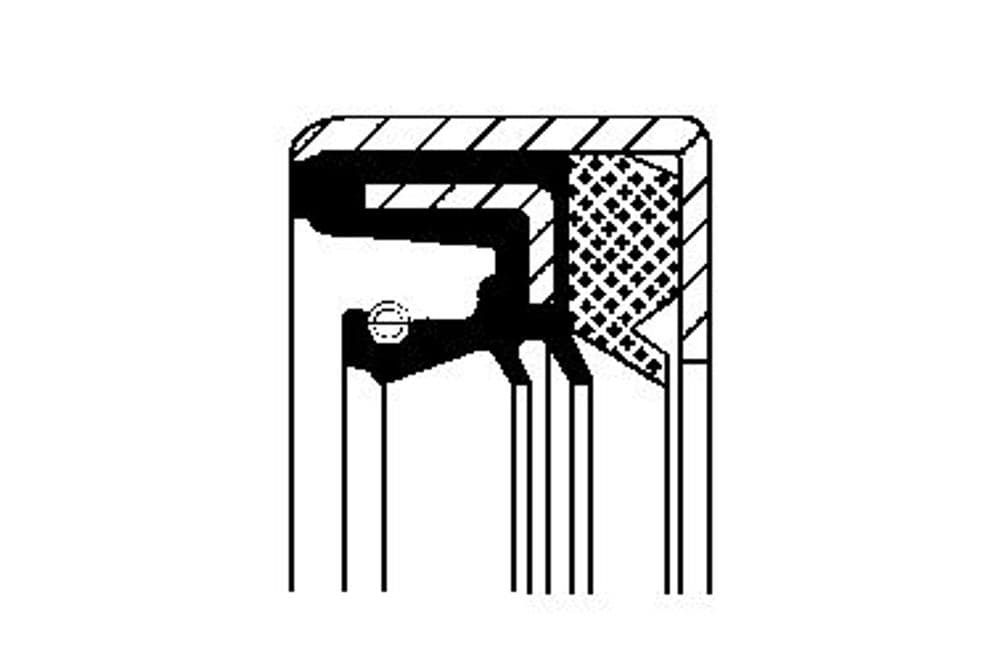 Shaft Seal, differential