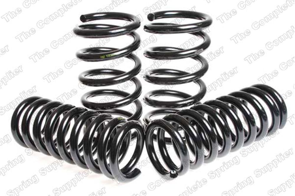 Suspension Kit, coil springs-1
