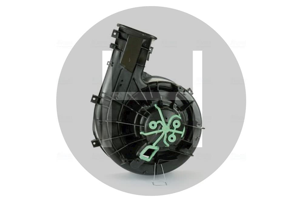 Fan