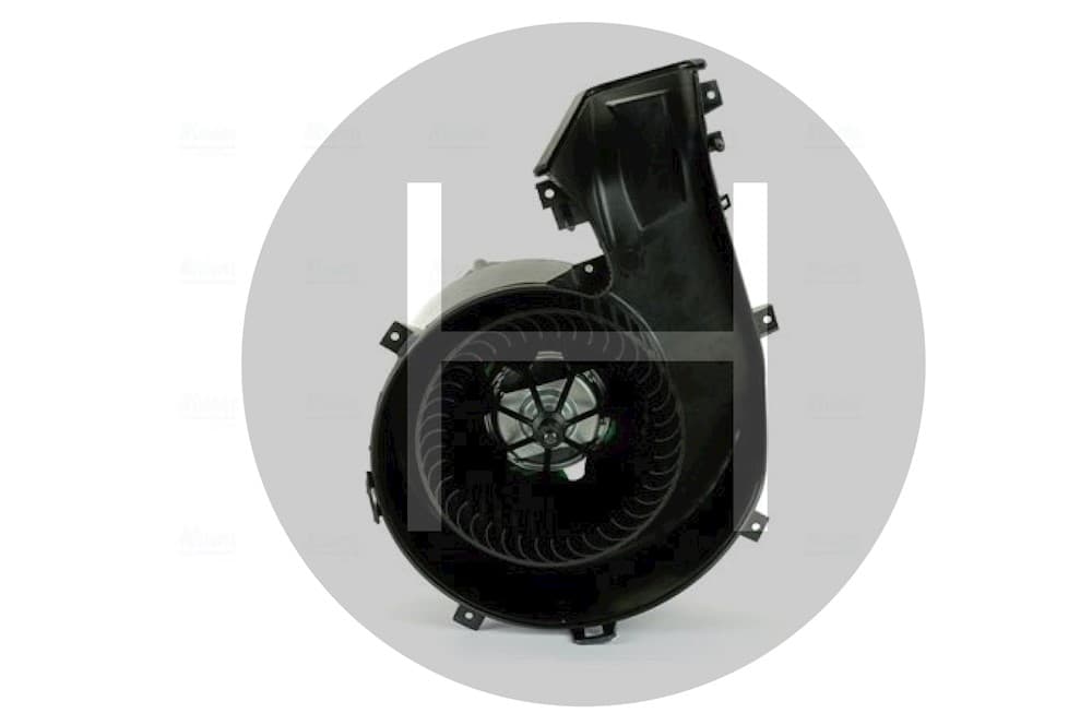 Fan-2