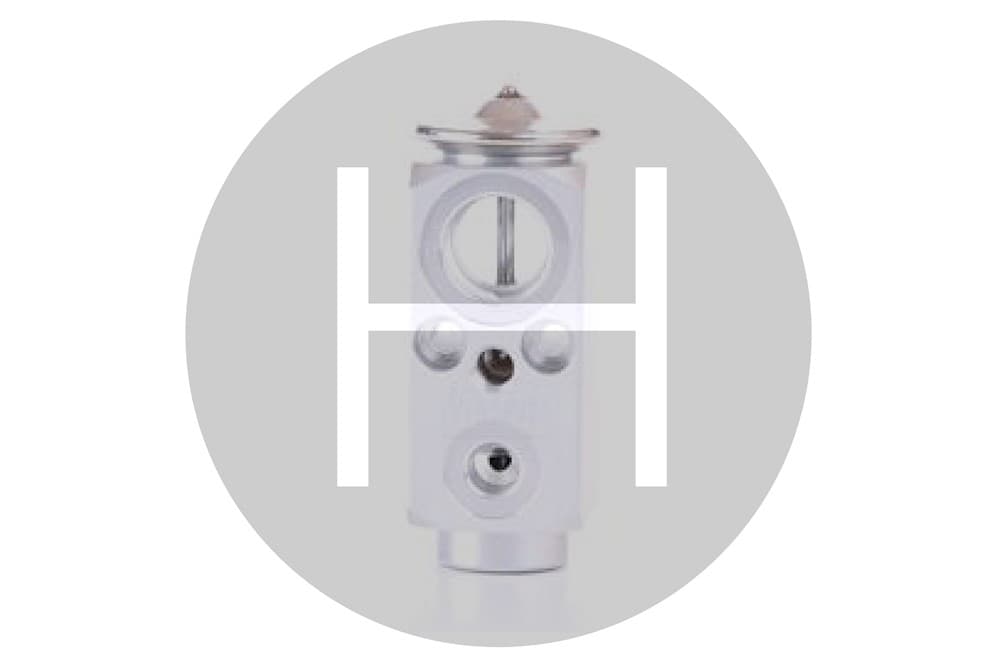Expansion Valve