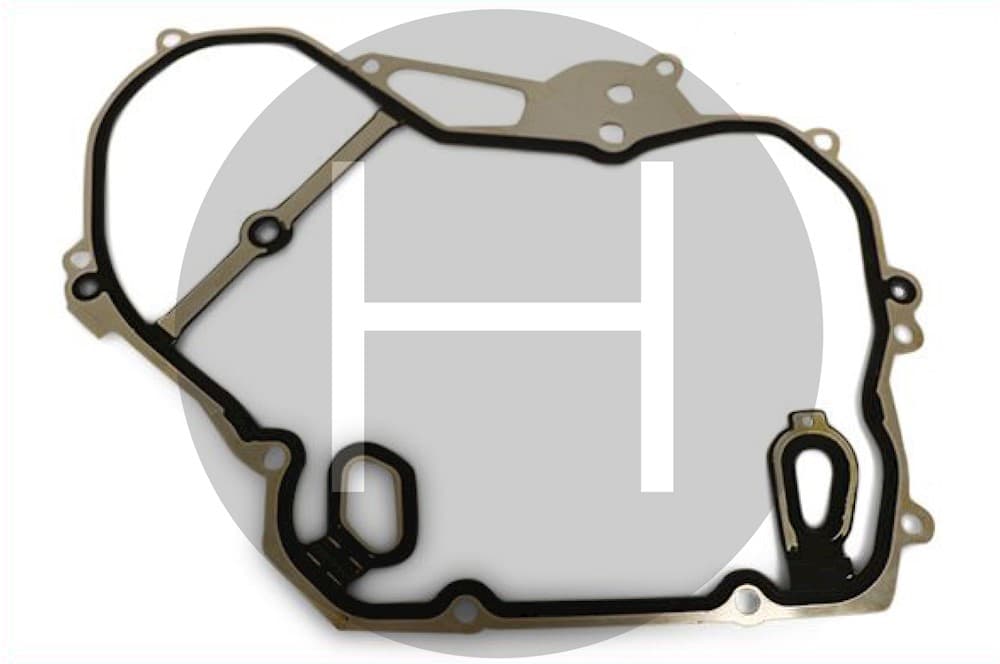 Gasket-1