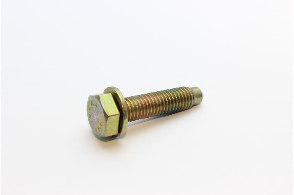 Screw-1