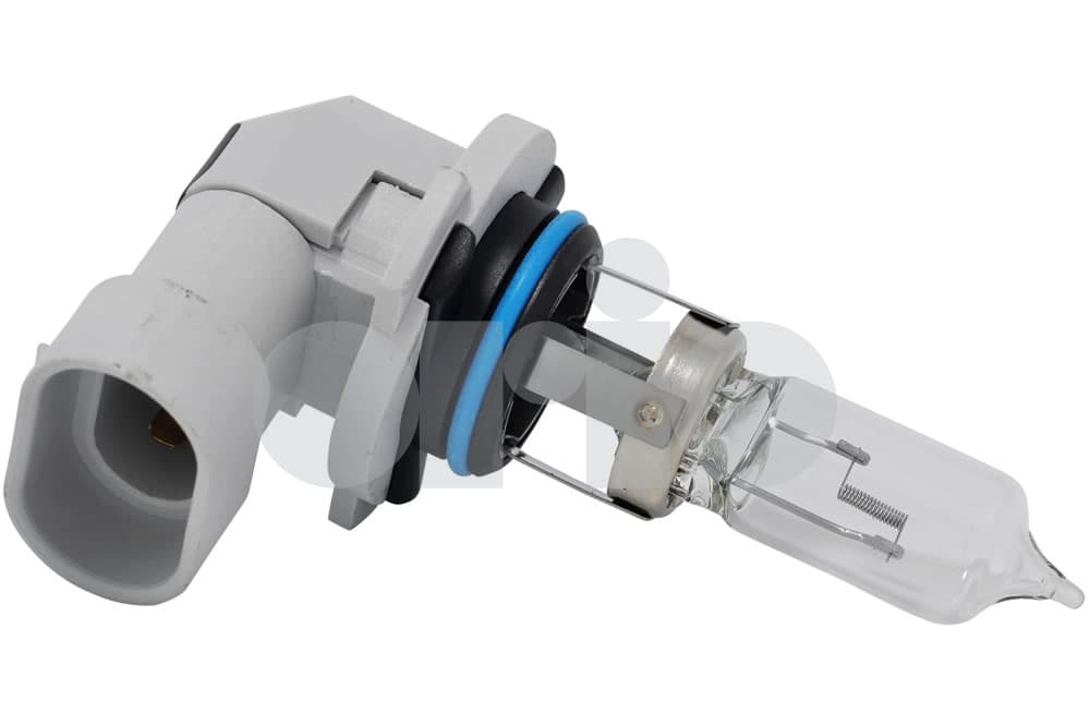 Bulb-1