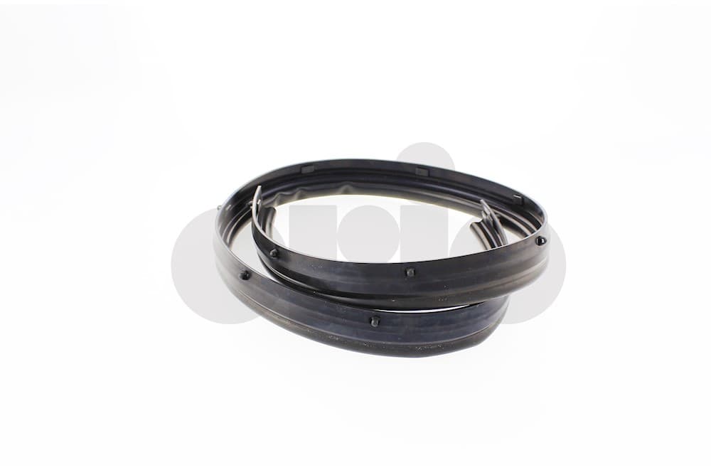 Seal-1
